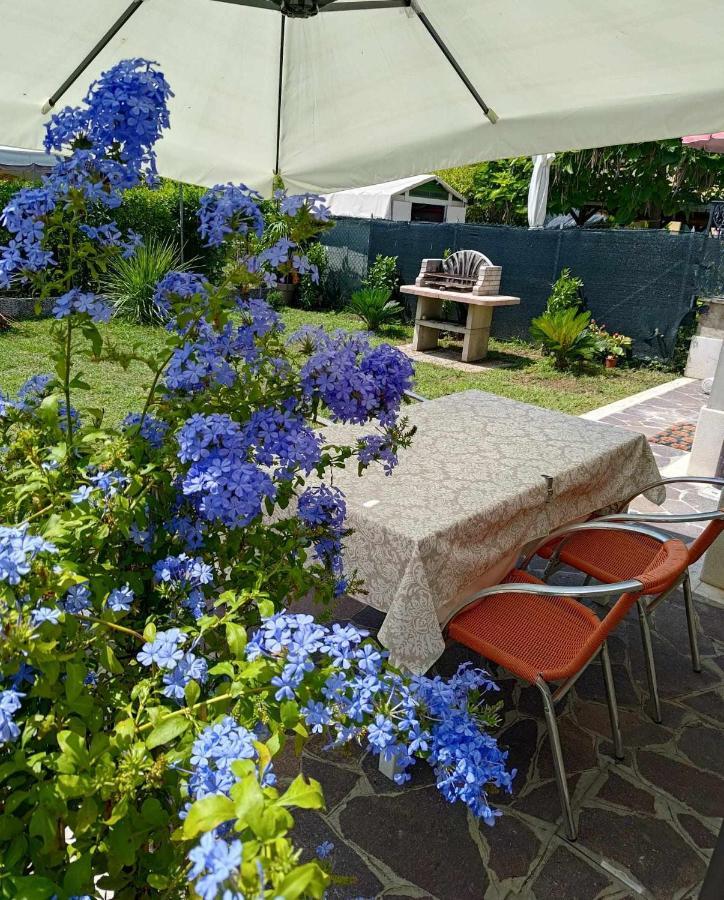 Bertos House Tra Mare E Laguna Кавалино-Трепорти Екстериор снимка