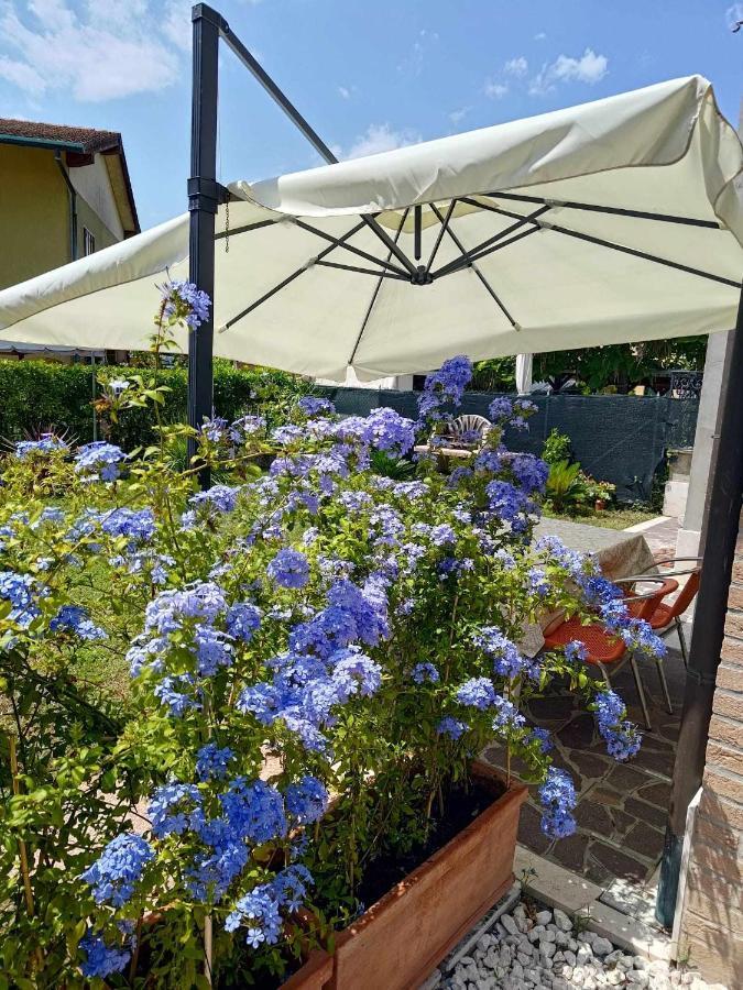 Bertos House Tra Mare E Laguna Кавалино-Трепорти Екстериор снимка